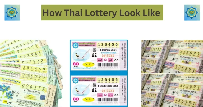 Government Official Statement about Thai Lottery Ticket 2024